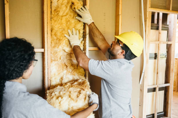 Best Insulation Contractor Near Me  in Lisbon, IA