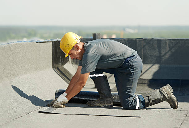 Best Insulation Removal  in Lisbon, IA